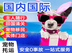 龙嘉航空快递国际宠物托运 【国